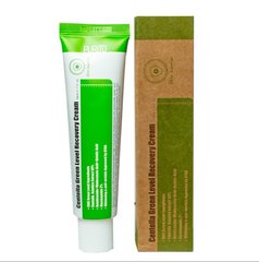 Відновлюючий і заспокійливий крем з екстрактом Центелли Азіатської PURITO Centella Green Level Recovery Cream