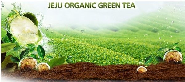 Крем для глибокої гідратації і харчування з екстрактом насіння зеленого чаю Innisfree The Green Tea seed cream